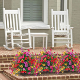 Narsati FloraViva™ – Flores Colgantes con Protección UV
